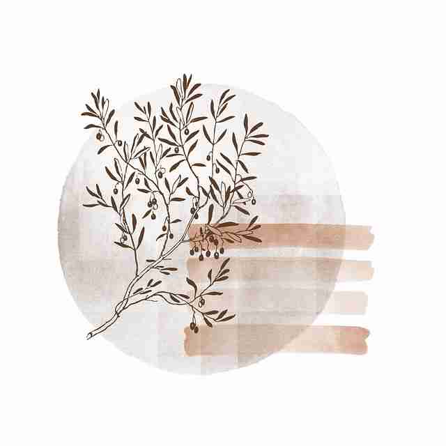 用户口碑麻豆（创作者计划）火爆上线
